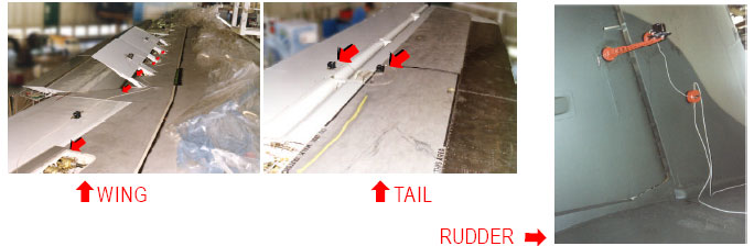 wing, tail, rudder